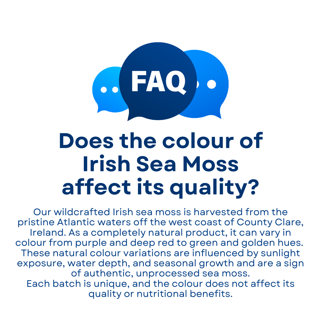 Wildcrafted Raw Irish Sea Moss - 100g - Image 9