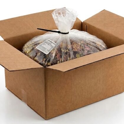 Wildcrafted Raw Irish Sea Moss | 1kg Bulk Sack
